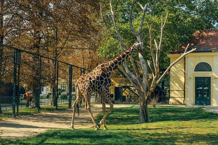 Prague Zoo Skip-the-Line Ticket With Audio Guide and Transfer