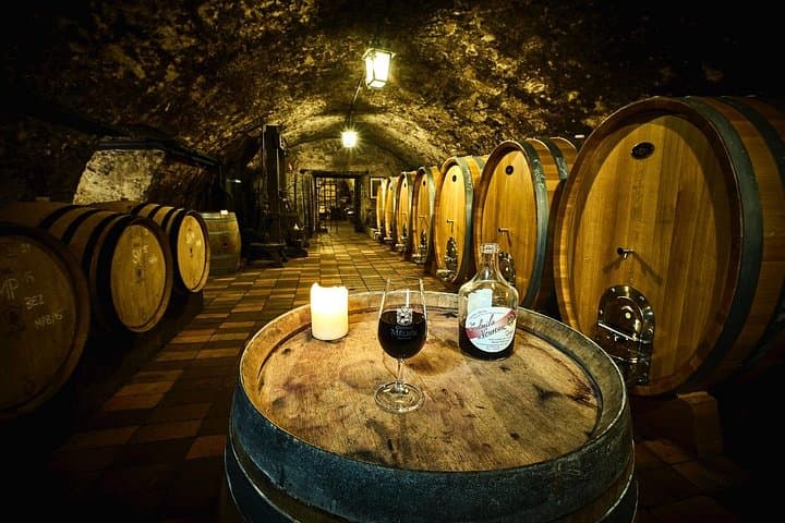 From Prague: Private Bohemian Wine Tour & Local Delicacies