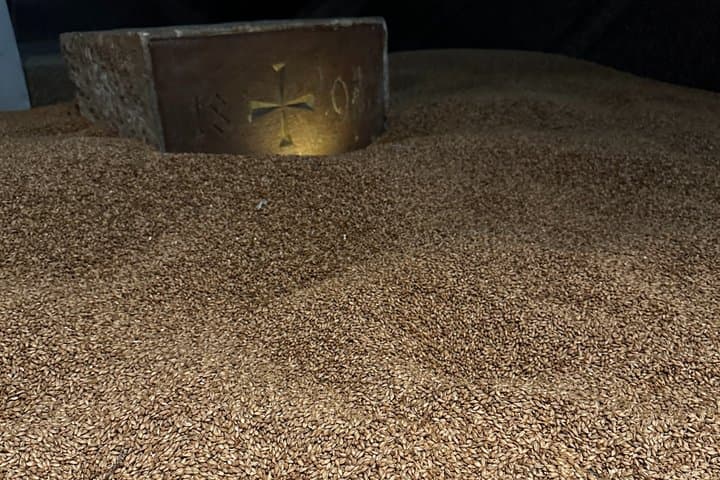 Barley Malt