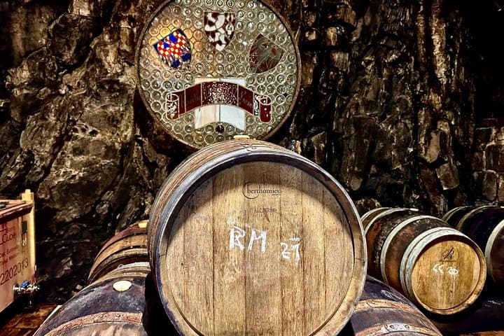 Private Wine Tasting at Karlštejn’s Research Winery