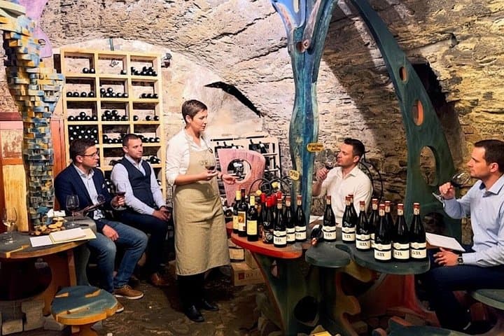 Krumlov Wine Tour: Wine Degustation, Schiele & Art Galleries