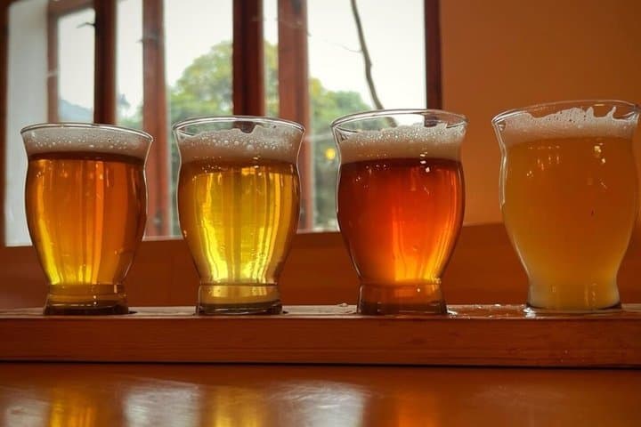 Krumlov Beer Tour: Pivo, Brewery, Pubs & Food (+Beer SPA)