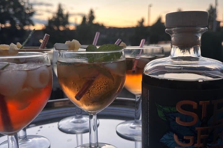 Sundowner Bites and Drinks with Celebrity Chef on the Vltava
