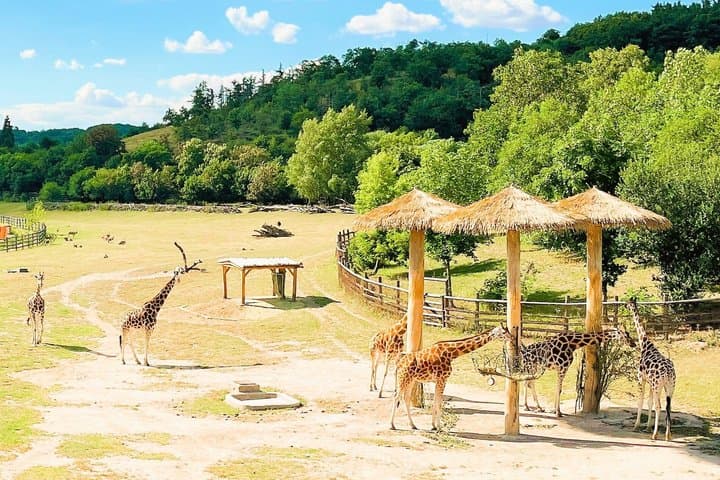 Admission Ticket to the ZOO with the Cruise Boat Transfer