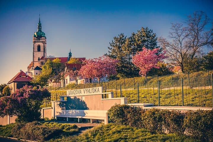 From Prague: Private Bohemian Wine Tour & Local Delicacies