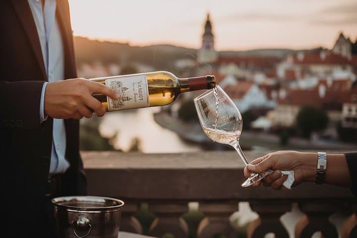 Krumlov Wine Tour: Wine Degustation, Schiele & Art Galleries