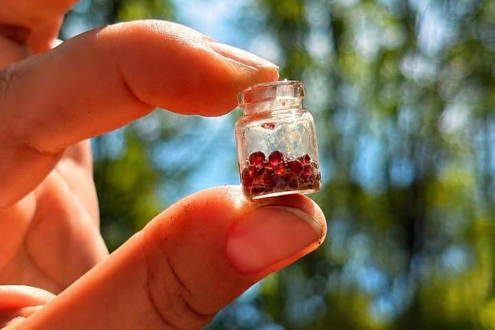 Countryside, Czech Garnet Panning, Farm,Lunch&Beer 4WD Adventure
