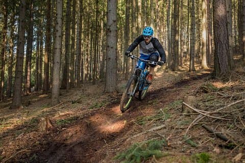MTB singletrack
