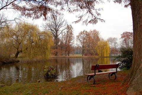 Lake in the Stromovka park on the lower side of the tunnel.