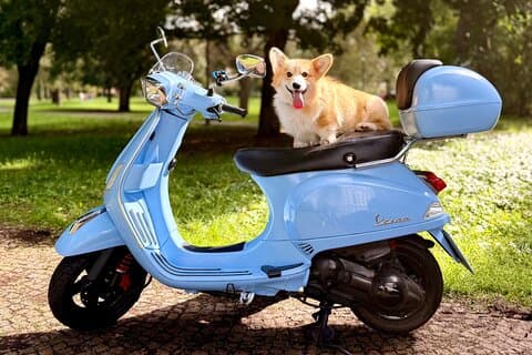 Our iconic Vespa, ready for your adventure in Prague – stylish, playful, and unforgettable.