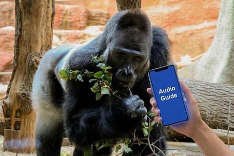 Prague Zoo Online Audio Guide
