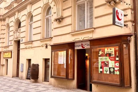 Czech Local Wine Tasting in Grape & Sour