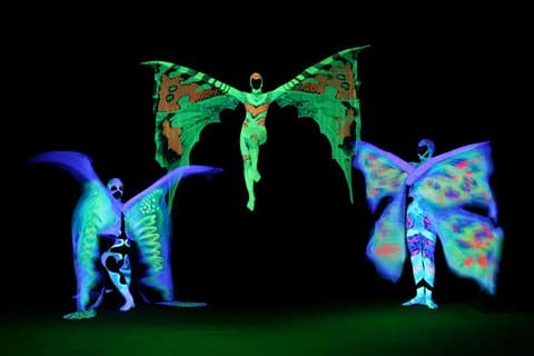 IMAGE Black Light Theatre Performance in Prague