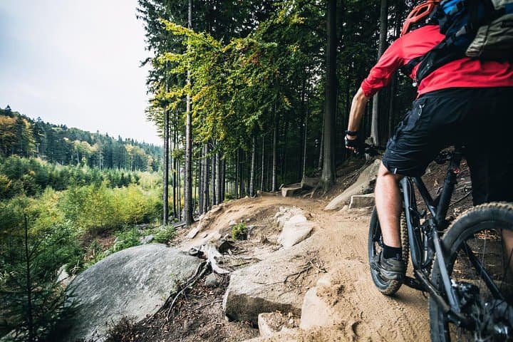 MTB singletrack