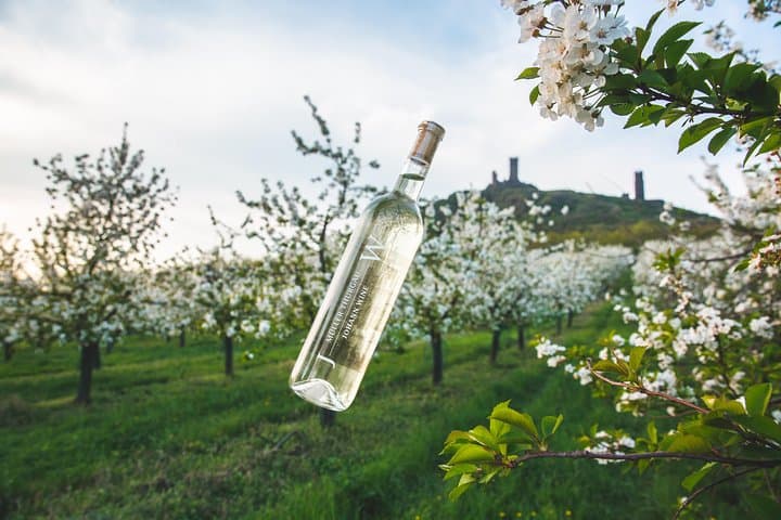 Enjoy sparkling wines right in the vineyards—beneath a Gothic castle or atop a vast private estate with a view. The choice is yours