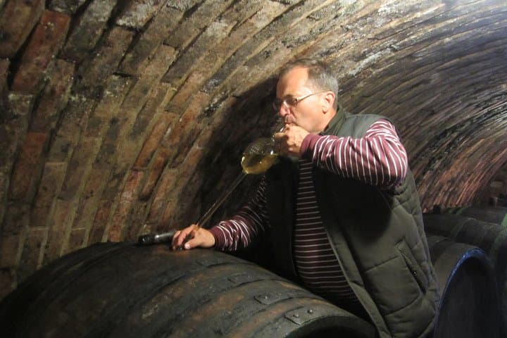 Wine master