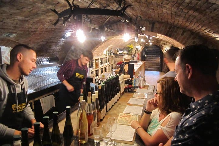 Wine sampling in Vrbice
