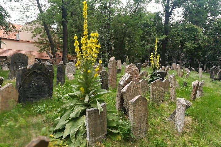 Private Stories of Jewish Prague Walking Tour