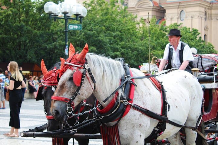 Prague Highlights Walking Tour with Castle and Sightseeing Cruise