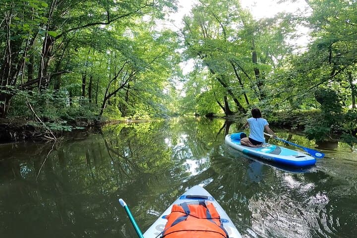 Scenic Paddleboarding Adventure: Nové Mlýny to Lednice