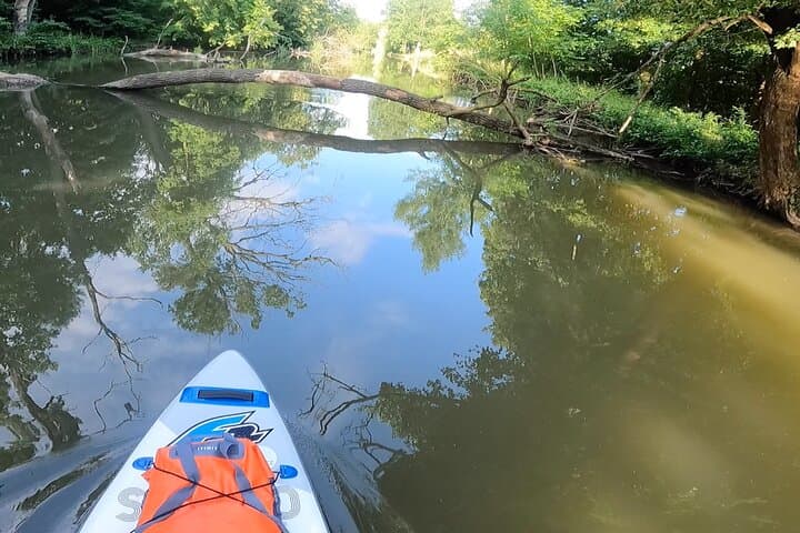Scenic Paddleboarding Adventure: Nové Mlýny to Lednice