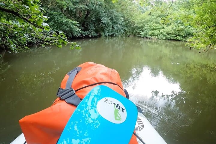 Scenic Paddleboarding Adventure: Nové Mlýny to Lednice