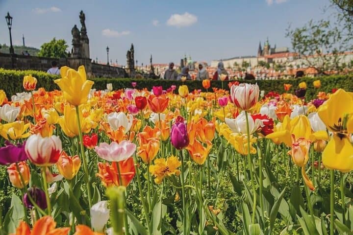 Prague at Spring