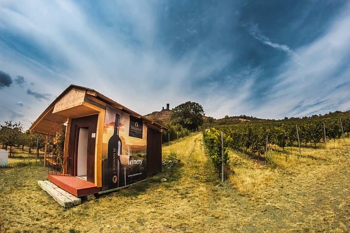 In Central Europe, single-varietal wines are the norm over blends. We’ll show you exactly where each bottle—Traminer, Sylvaner, Pinot Gris—comes from. Every wine tells a traceable story.