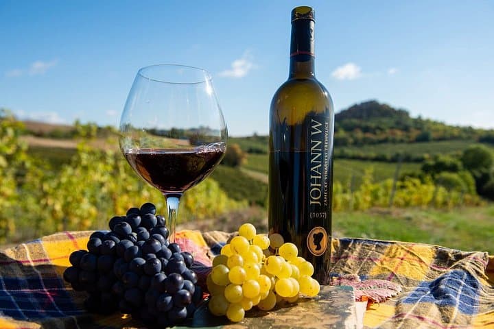 A private vineyard with views of three castles and the Czech landscape—where ancient seabeds meet volcanic soil. That’s the secret behind these rich, diverse wines.
