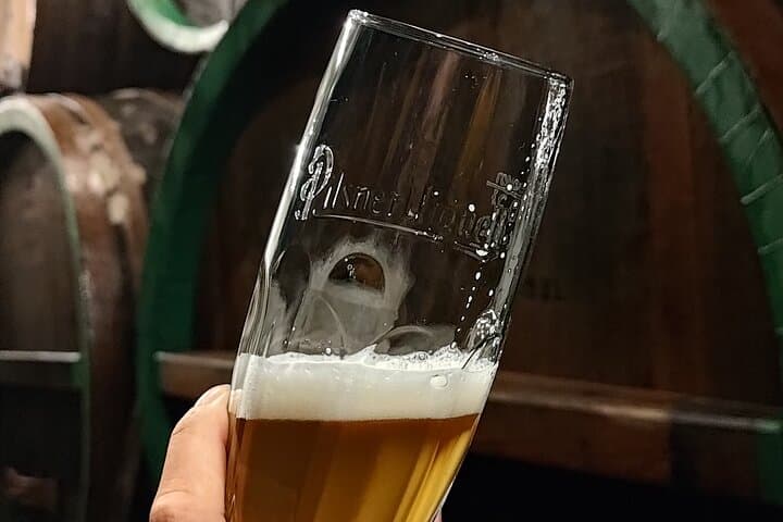 Private Pilsen Tour from Prague: Pilsner Brewery and Old Town