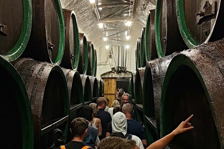 Private Pilsen Tour from Prague: Pilsner Brewery and Old Town