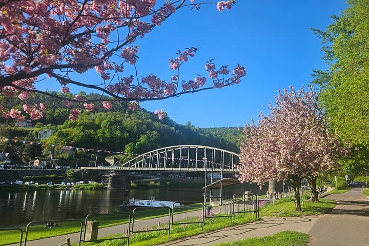 Historic Děčín Walk and Viewpoint Hike