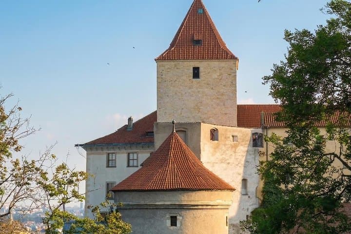 Prague Castle 30 minutes Guided Introduction