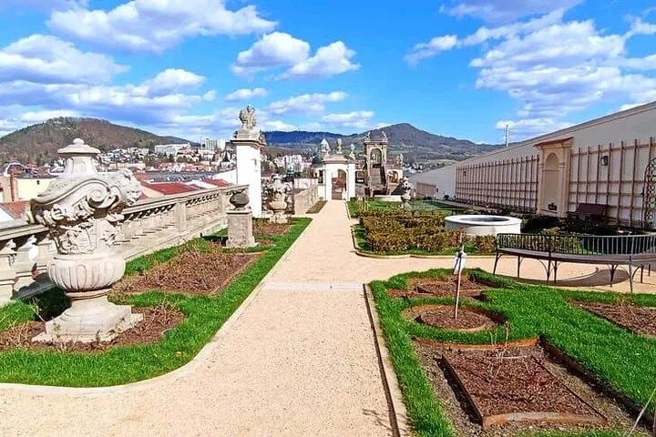 Historic Děčín Walk and Viewpoint Hike