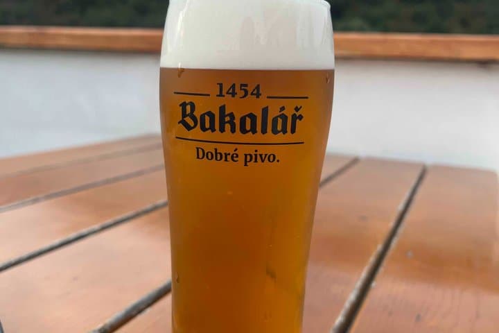 Shared Prague Vltava Boat Trip with 2 drinks included